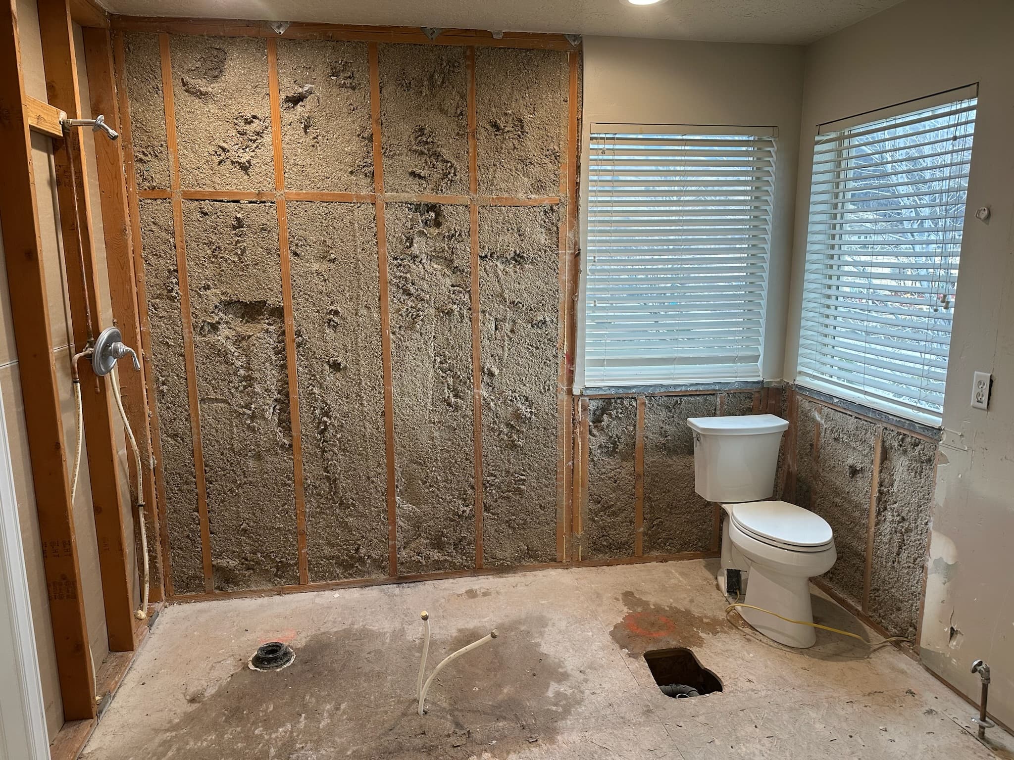 Bathroom torn down to studs